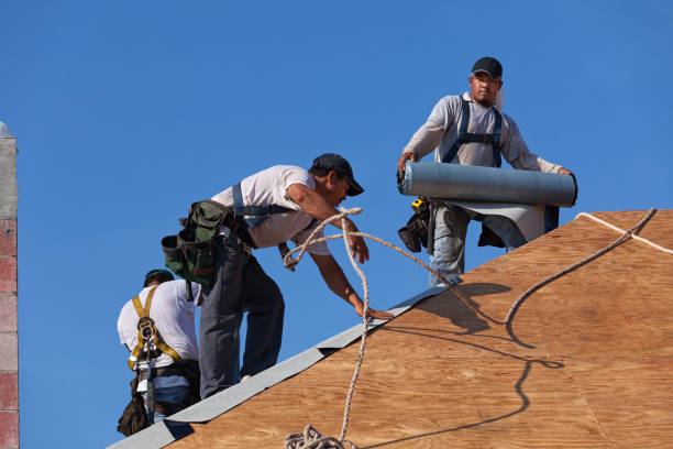 Best Roof Maintenance Services  in Bangor, MI