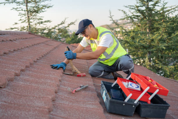 Best Roofing Contractor Near Me  in Bangor, MI