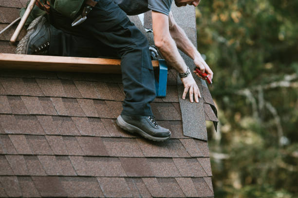 Best Roof Leak Repair  in Bangor, MI